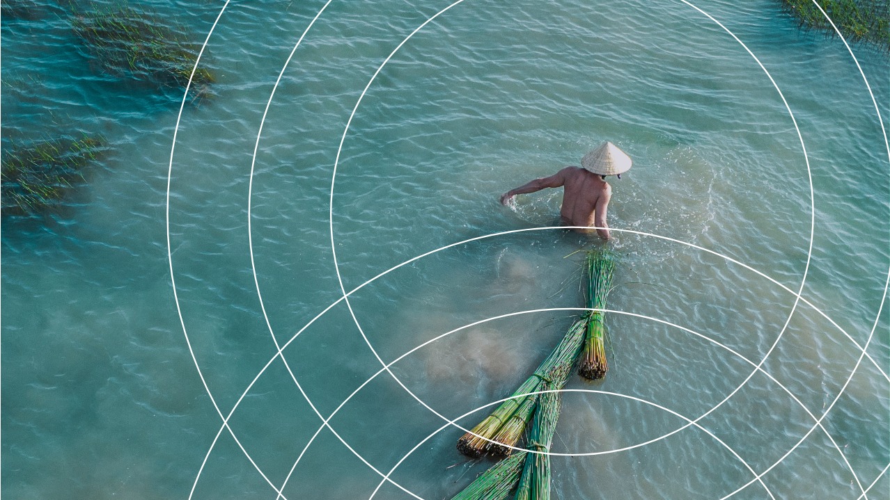 The Visionary CEO's Guide to Sustainability card